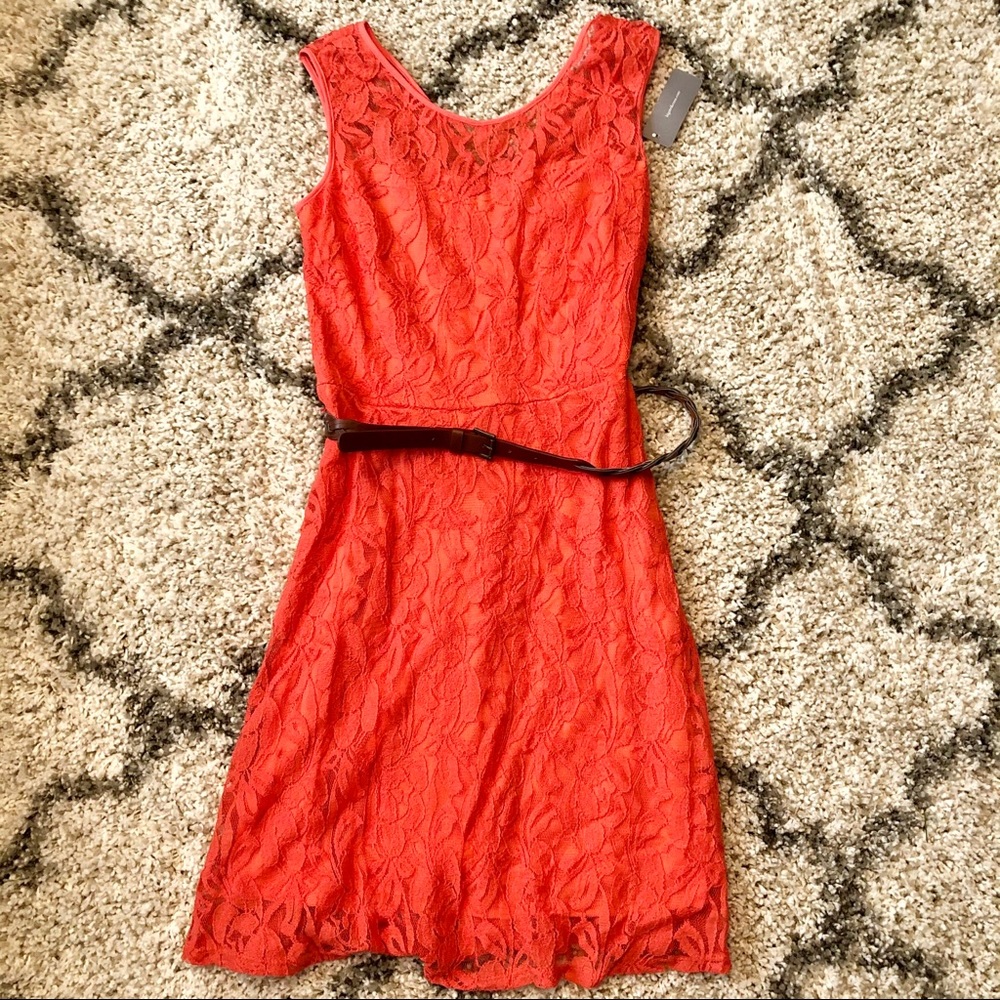 NWT halo lace orange mini summer dress